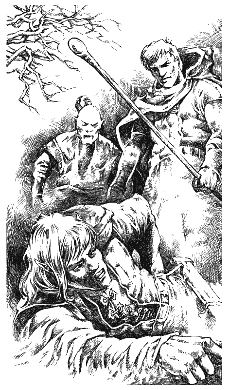 Хранитель Мечей. Странствия мага. Том 1 - i_003.png