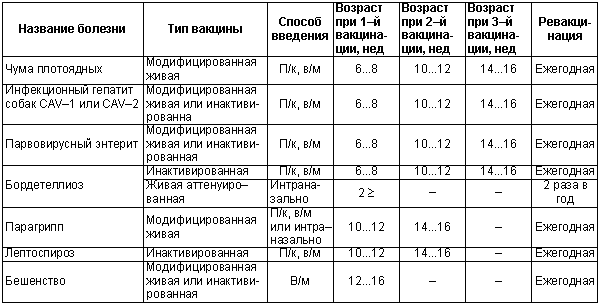 Физиология размножения и репродуктивная патология собак - i_043.png