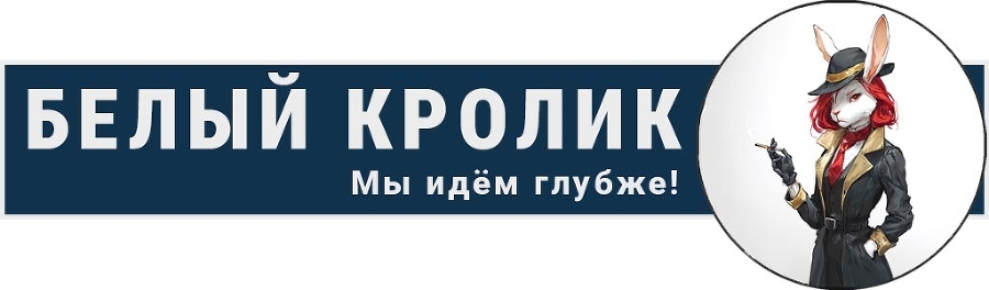Беги за мёртвым кроликом (СИ) - img_22