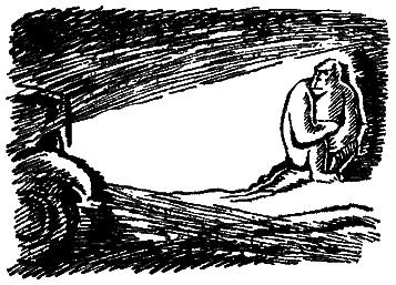 Следы невиданных зверей - i_18.png