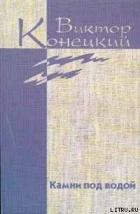 Из дневника боксёра - Конецкий Виктор Викторович