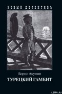 Турецкий гамбит - Акунин Борис