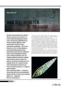 Мастер кроется в деталях... - Журнал Прорез