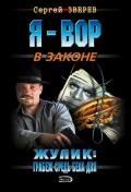 Жулик: грабеж средь бела дня - Зверев Сергей Иванович