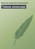 Тайник комиссара - Имшенецкий Вячеслав Андреевич