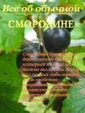 Все об обычной смородине - Дубровин Иван