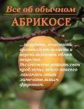 Все об обычном абрикосе - Дубровин Иван