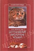 Шотландские вислоухие кошки - Некрасова Ирина Николаевна
