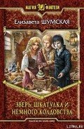 Зверь, шкатулка и немного колдовства - Шумская Елизавета