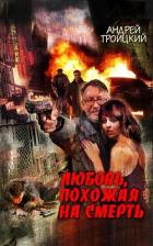 Любовь, похожая на смерть - Троицкий Андрей Борисович