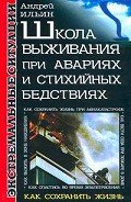 Школа выживания при авариях и стихийных бедствиях - Ильин Андрей