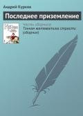 Последнее приземление - Курков Андрей Юрьевич