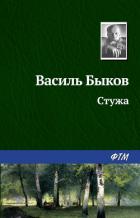 Стужа - Быков Василь Владимирович