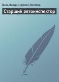 Старший автоинспектор - Липатов Виль Владимирович