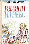 Взгляни на небо - Дворкин Илья Львович
