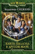 Князь Палаэль. В другом мире - Снежкин Владимир