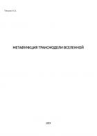 Метафункция трансмодели Вселенной - И.Б. Петров