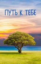 Путь к тебе - Алиса К