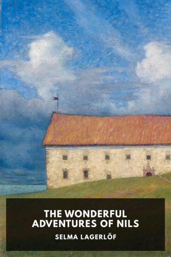 The Wonderful Adventures of Nils - Selma Lagerlöf