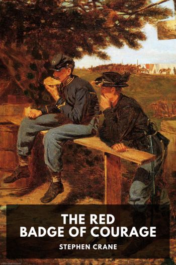 The Red Badge of Courage - Stephen Crane