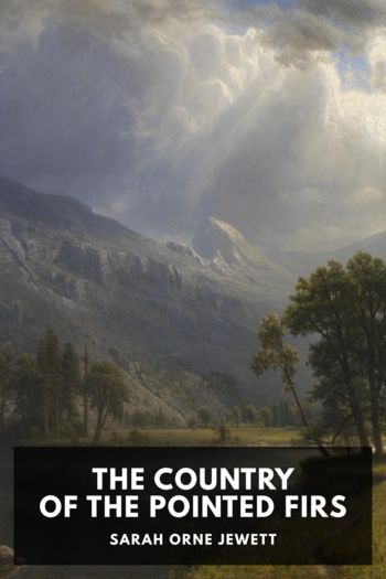The Country of the Pointed Firs - Sarah Orne Jewett