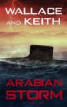 Arabian Storm (The Hunter Killer Series Book 5) - George Wallace