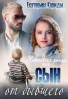 Новогодний роман, или Сын от бывшего - Екатерина Кариди
