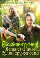 Все своими руками! Хозяйственные будни оруженосца - Даниэль Брэйн