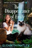 The Disappearance of Emily: Destiny Falls Mystery & Magic Series Book 2 - Elizabeth Pantley