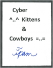 Cyber Kittens and Cowboys - Ipam
