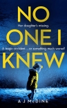 No One I Knew - A McDine