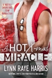 A HOT Christmas Miracle: A Hostile Operations Team Holiday Story - Lynn Harris
