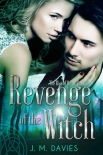 Revenge of the Witch - J Davies