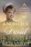 A Nurse for Daniel - Marlene Bierworth