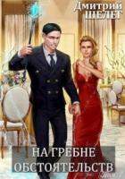 На гребне обстоятельств - Дмитрий Шелег