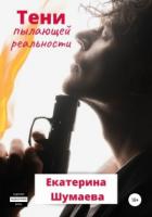 Тени пылающей реальности - Екатерина Шумаева