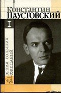 Время больших ожиданий - Паустовский Константин Георгиевич