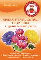 Хризантемы, астры, георгины и другие осенние цветы - Вечерина Елена Юрьевна
