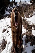 Ой! (СИ) - Бунеев Сергей