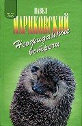 Неожиданные встречи - Мариковский Павел Иустинович
