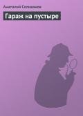 Гараж на пустыре - Селиванов Анатолий