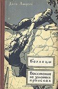 Восстание на золотых приисках - Линдсей Джек