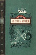 Жизнь моря - Богоров Венианим Григорьевич