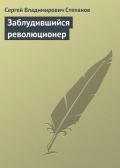 Заблудившийся революционер - Степанов Сергей Владимирович