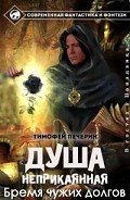 Бремя чужих долгов (СИ) - Печёрин Тимофей