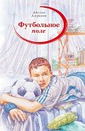 Футбольное поле - Амраева Аделия А.