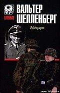Мемуары-Лабиринт] - Шелленберг Вальтер