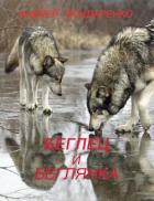 Беглец и Беглянка (СИ) - Бондаренко Андрей Евгеньевич