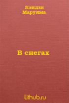 В снегах - Маруяма Кэндзи