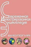Энциклопедия «Биология» (без иллюстраций) - Горкин Александр Павлович